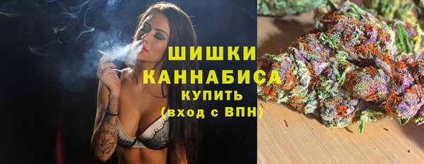 крисы Богородск