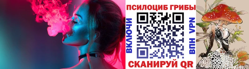 Псилоцибиновые грибы Cubensis  Пенза 
